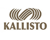 KALLISTO